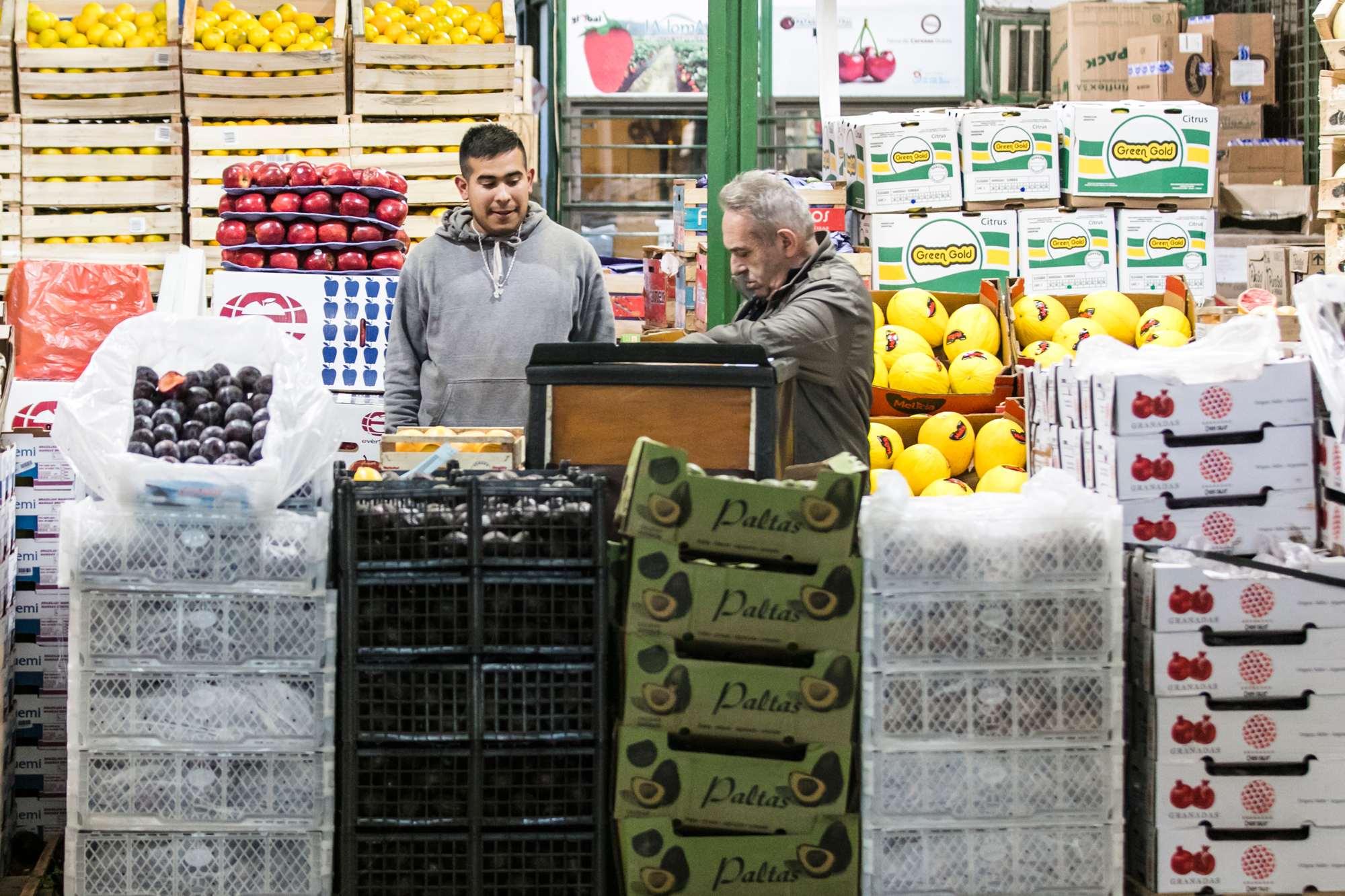 Frutas Argentinas 2024: El primer año bajo Milei